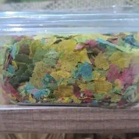 غذای ماهی زینتی،آکواریوم