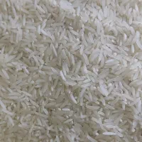 برنج فجرسوزنی