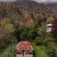 حال-این-زمین-بشدت-خوبه-جنگلی-کوهپایه-نزدیک-ماسوله