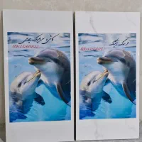 فلت بد، پرینت یووی