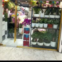 32-متر-مغازه-تجاری-جنت-آباد-جنوبی-شاهین