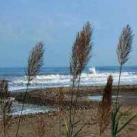 ویلا ساحلی  دریا بیشه تهاتر  با تهران کرج