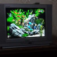 تلویزیون ۲۱ سامسونگ اصل کره