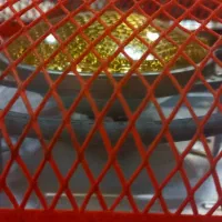 کرسی برقی ژاپنی|بخاری، هیتر، شومینه|مشهد, شهرآرا|دیوار