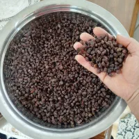 کشمش|خوردنی و آشامیدنی|ملکان, |دیوار