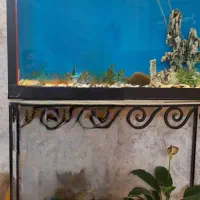 فروش آکواریوم