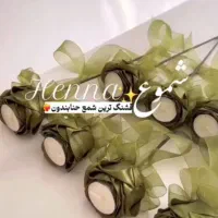 گل رز جاودان|گل مصنوعی|خاش, |دیوار