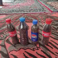 اسپند