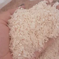 برنج فجر|خوردنی و آشامیدنی|علی‌آباد کتول, |دیوار