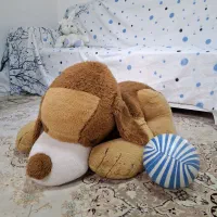 عروسک خرس و سگ بزرگ و کوچک|اسباببازی|رشت, حسین آباد|دیوار