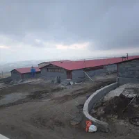 کار در مرغداری گوشتی