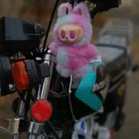 تعداد زیادی لبوبو|اسباببازی|نظرآباد, شهرک آزادگان|دیوار