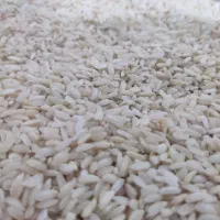 برنج چمپا|خوردنی و آشامیدنی|چیتاب, |دیوار