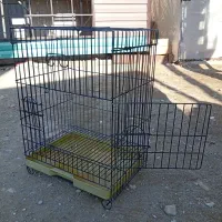 قفس|لوازم جانبی حیوانات|رباط‌کریم, نصیرشهر|دیوار