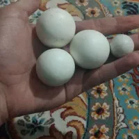 سنگ الماس آسیاب ۴ عدد