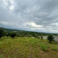 اجاره زمین باغ برای سرمایه گذاری