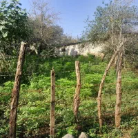 زمین مسکونی چلوند