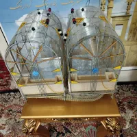 قفس|لوازم جانبی حیوانات|شیراز, رکن‌آباد|دیوار