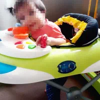 کالسکه|کالسکه و لوازم جانبی|کردکوی, |دیوار