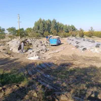 سیلو ذرت علوفه