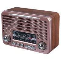 رادیو اسپیکر بلوتوثی خورشیدی گولون مدل نوستالژی|پخش‌کننده همراه|تهران, گمرک|دیوار