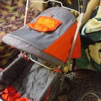 کالسکه تاشوهمراه کریر