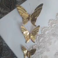 پروانه برنز