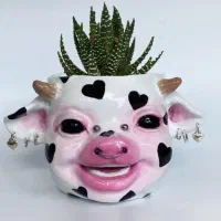 گلدان و ماگ فانتزی