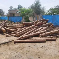 خرید چوب خریدار چوب