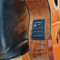 گیتار پیکاپدار واشبرن|گیتار، بیس، امپلیفایر|گرگان, |دیوار