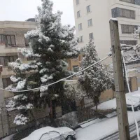 65متری رودکی