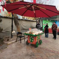 سایبان چتری/ پارچه اورجینال/چرخدار/اقساط