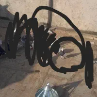 ناناز|حیوانات|نیشابور, ریوند|دیوار