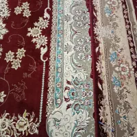 قالی در حدنو
