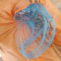 تور قبادی قالب ۱۲