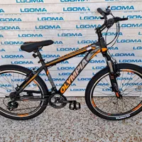 شهر دوچرخه با تنوع بالا|دوچرخه، اسکیت، اسکوتر|شیراز, محراب|دیوار