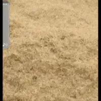تحویل کاه دیم درجه یک قیمت مناسب