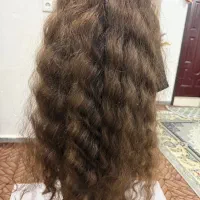 مژده مژده مو داری بفروش