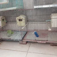 حراج قفس جوجه پران قدیمی محکم جدا شو حراج