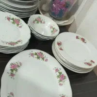 فروش چند عدد چینی