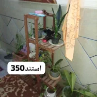 لوازم خانه|فرش|میناب, |دیوار