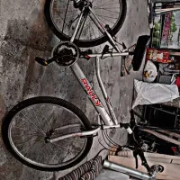 دوچرخه|دوچرخه، اسکیت، اسکوتر|مشگین شهر, |دیوار