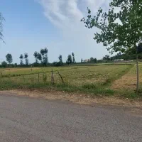 ۲۰۰۰ متر مزروعی، بر اصلی خیابان