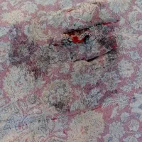 فرش ، گلیم فرش و لحاف|فرش|صدرا-فارس, فاز ۱|دیوار