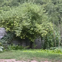 زمین ۱۸۸۰ متر واقع در کلاردشت دوبال قابل تفکیک|فروش زمین و ملک کلنگی|کلاردشت, |دیوار