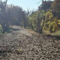 چمن مهرشهر