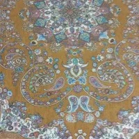 نو است  فقط از دو ترفش عکس گرفتم