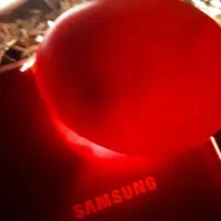 تخم مرغ نطفه دار از نژاد برهما خالص  ودورگه|حیوانات مزرعه|تاکستان, |دیوار