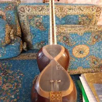 تار حرفه ای دستجردی