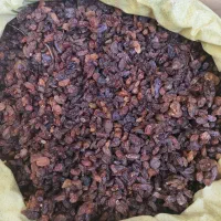 کشمش افتابی|خوردنی و آشامیدنی|یزد, |دیوار